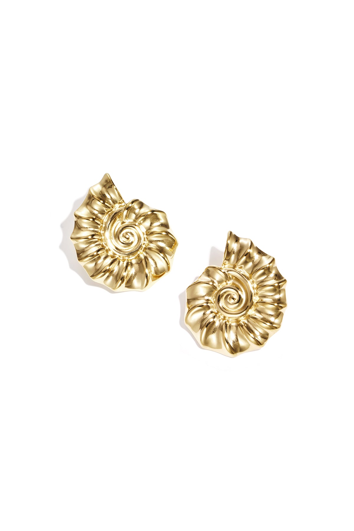 Spiraalschelp oorbellen