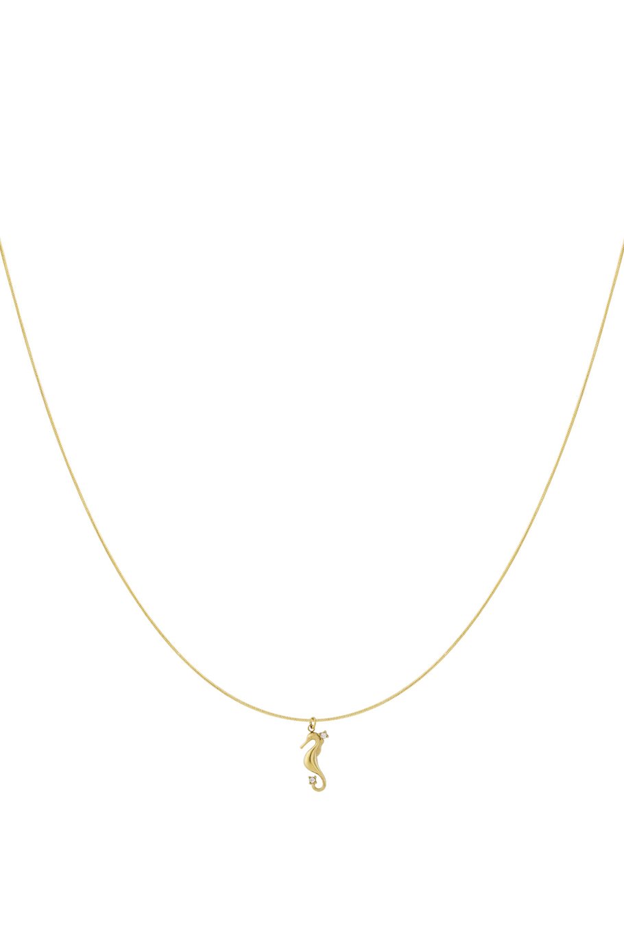 Zeepaardje ketting