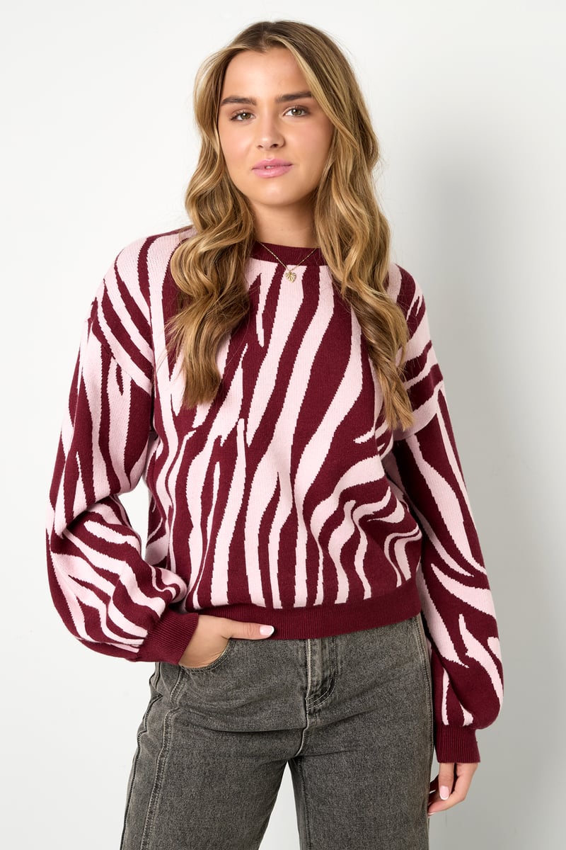 Knitted sweaters Zebra stripes